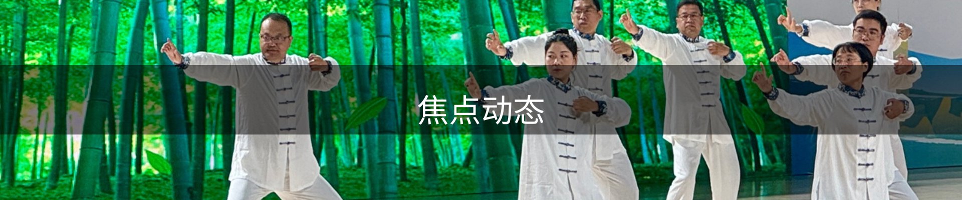 焦点动态